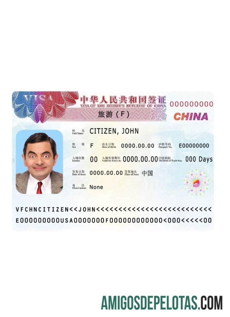 China Visa 2019 Versão Atual 2 exemplo